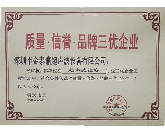 金泰瀛-三优企业证书